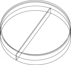 Petri dish Ø 90 mm AP 2 - compartment